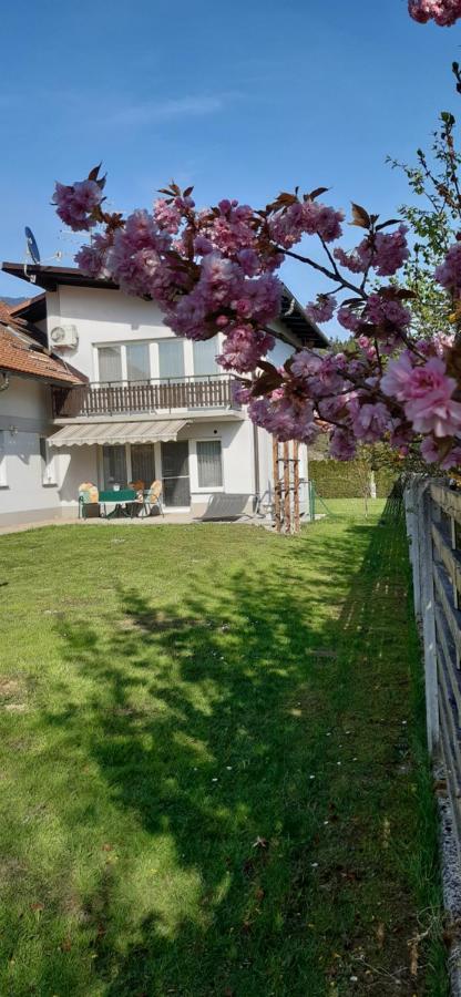 Apartmaji Mojca Križe Buitenkant foto
