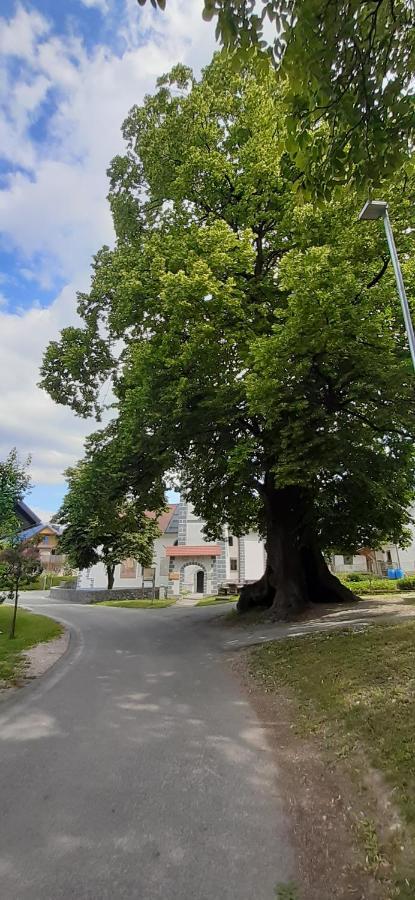 Apartmaji Mojca Pension Križe Buitenkant foto