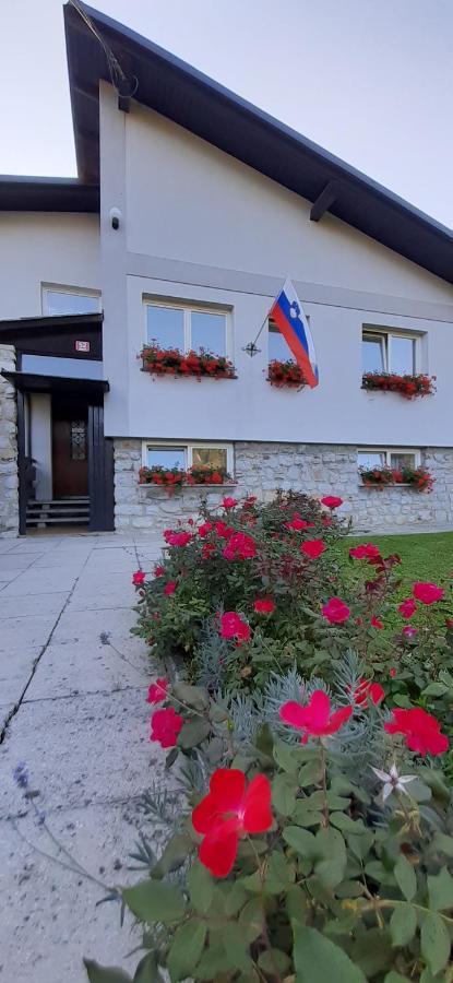 Apartmaji Mojca Križe Buitenkant foto