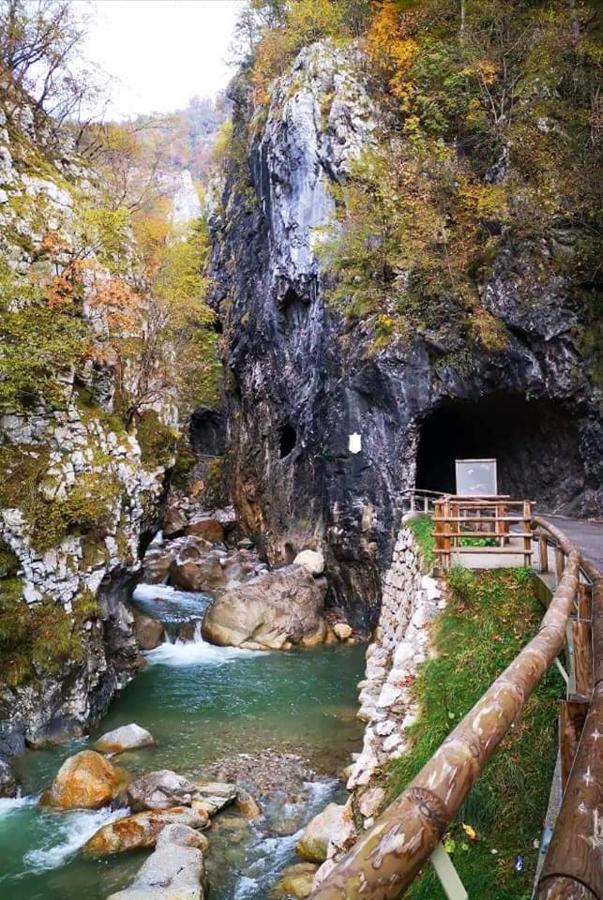 Apartmaji Mojca Križe Buitenkant foto