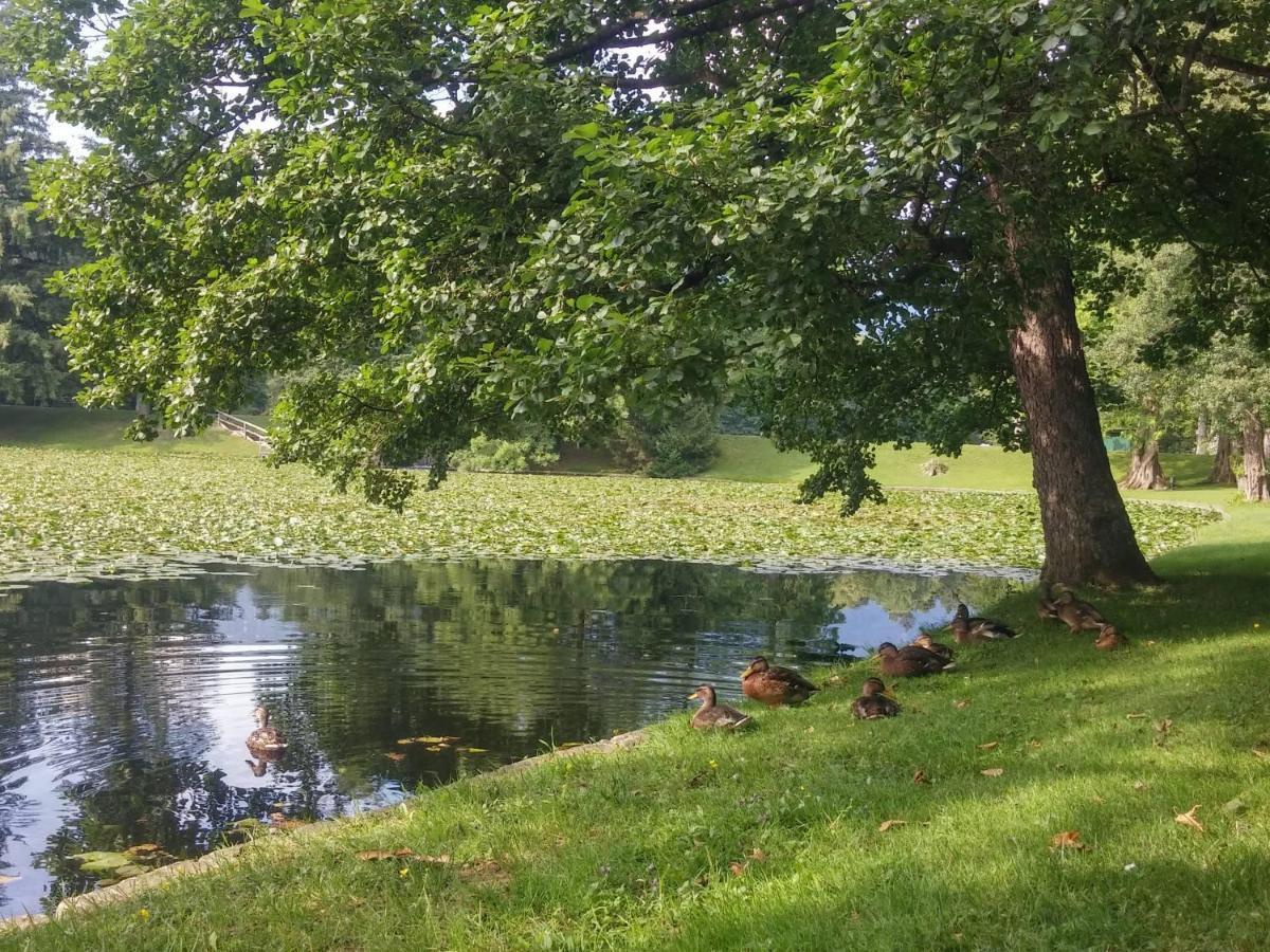 Apartmaji Mojca Pension Križe Buitenkant foto