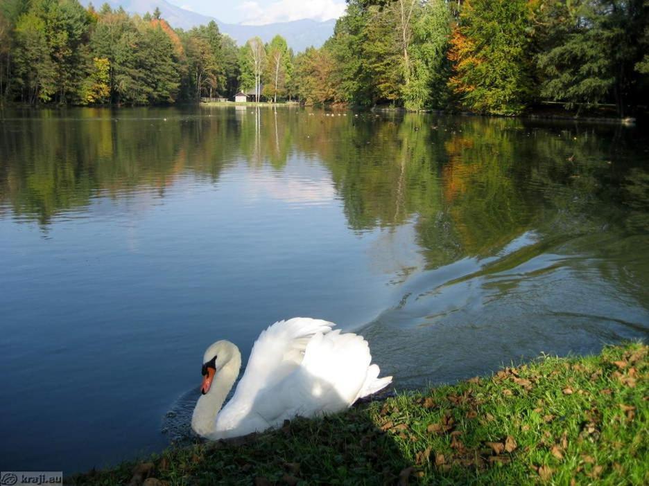 Apartmaji Mojca Križe Buitenkant foto