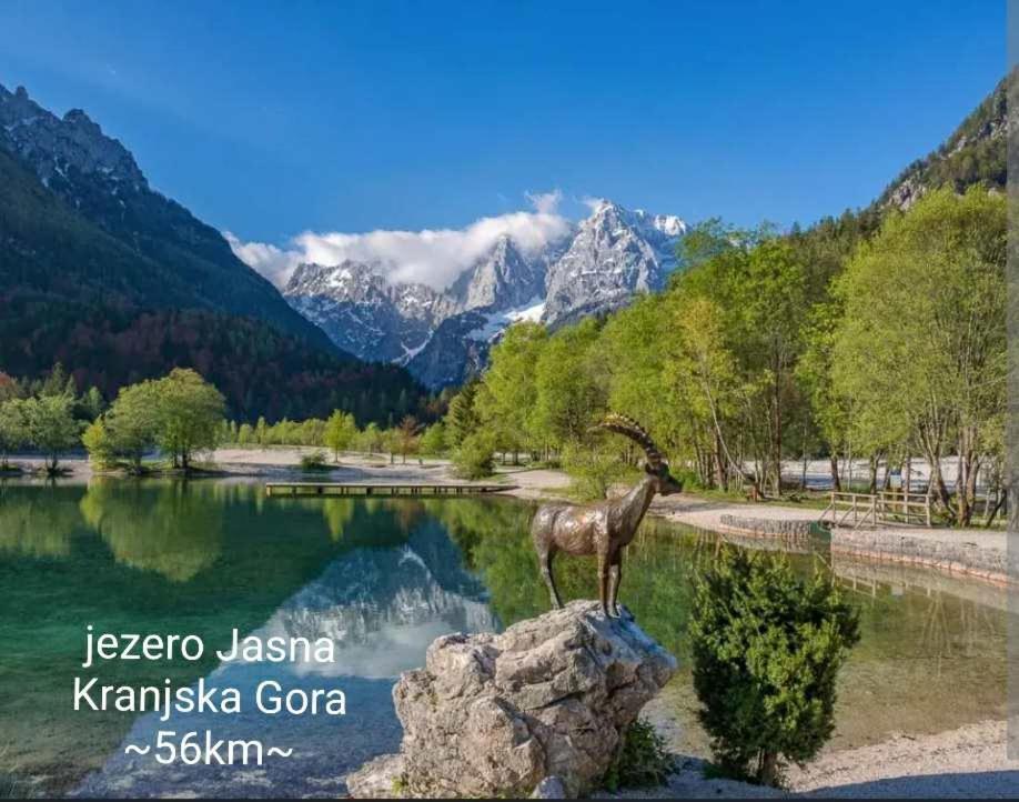 Apartmaji Mojca Križe Buitenkant foto