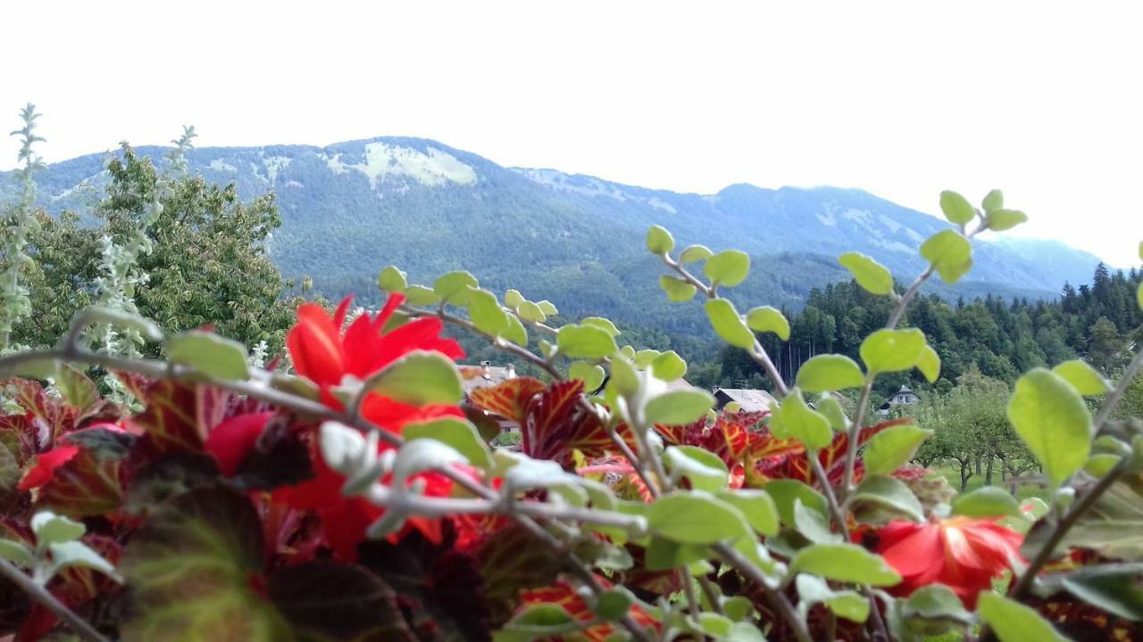 Apartmaji Mojca Križe Buitenkant foto