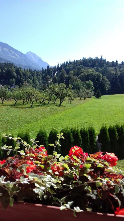 Apartmaji Mojca Pension Križe Buitenkant foto